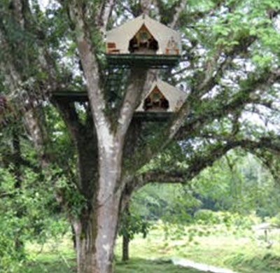 Casa de árbol